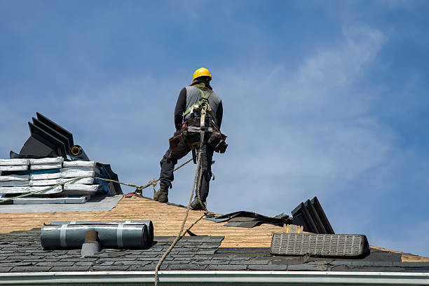 Professional Roofing technician working in Tremont, IL